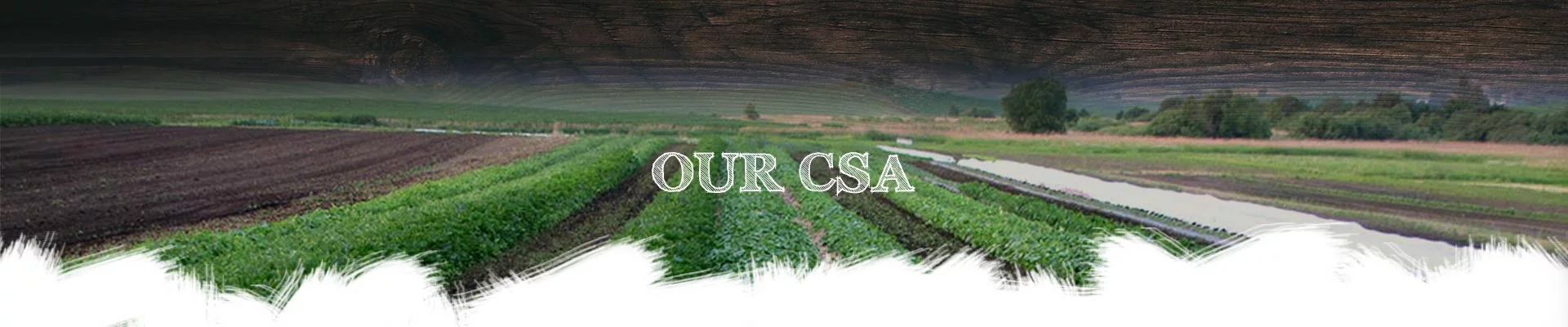 ourcsa ourcsa