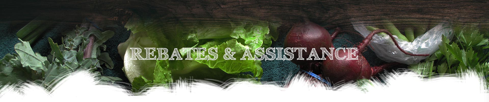 rebatesassistance rebatesassistance