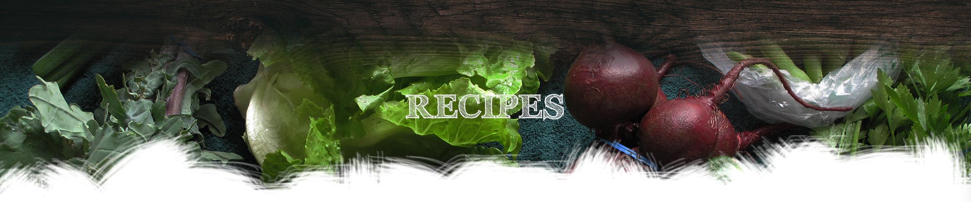 recipes recipes