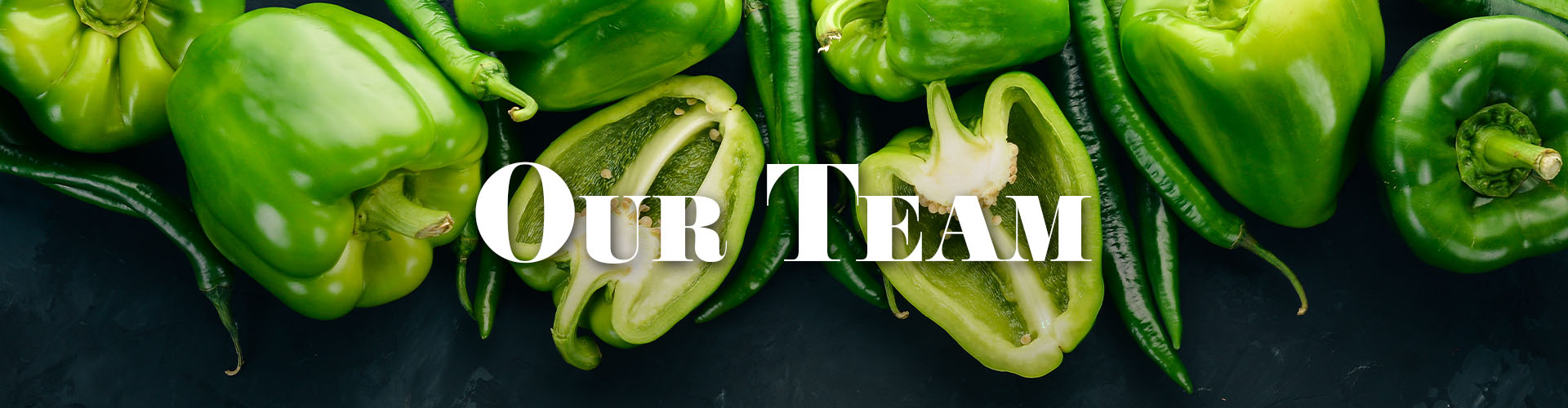 our-team our-team