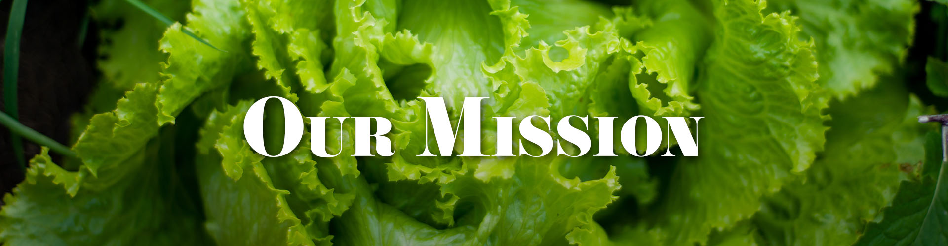 ourmission ourmission