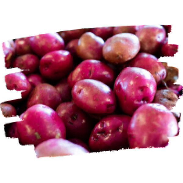 potato-icon